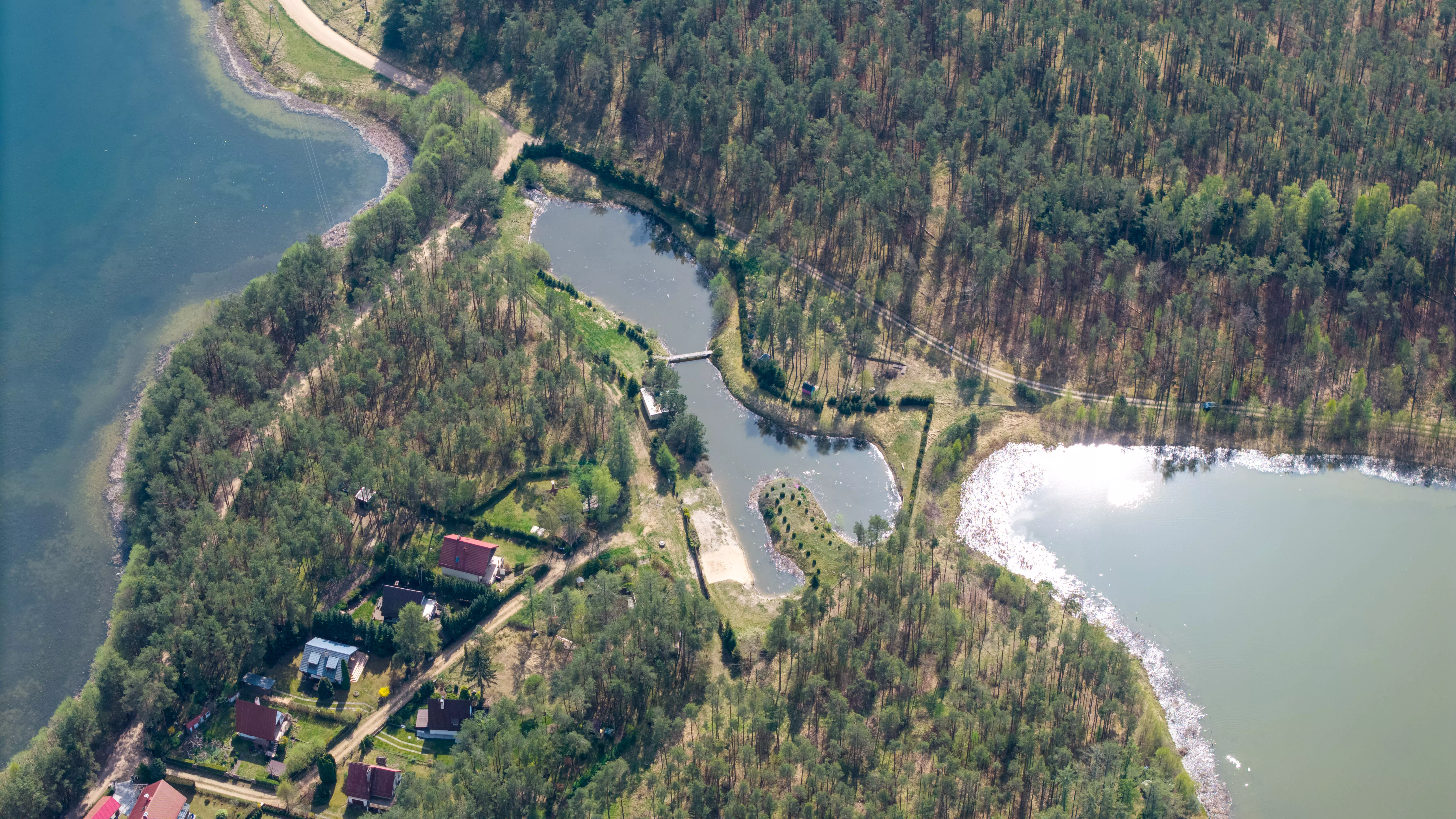 Leśny krajobraz z jeziorem i stawami, wśród drzew widoczne domki letniskowe, zdjęcie z góry